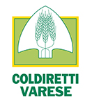 Logo CD VARESE_piccolo